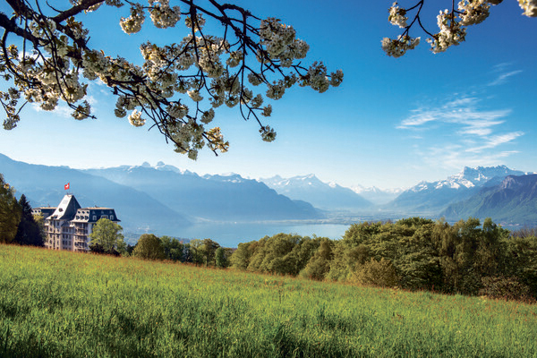 Le palace, situé au coeur la célèbre Riviera vaudoise, offre une vue spectaculaire sur le lac Léman Le palace, situé au coeur la célèbre Riviera vaudoise, offre une vue spectaculaire sur le lac Léman